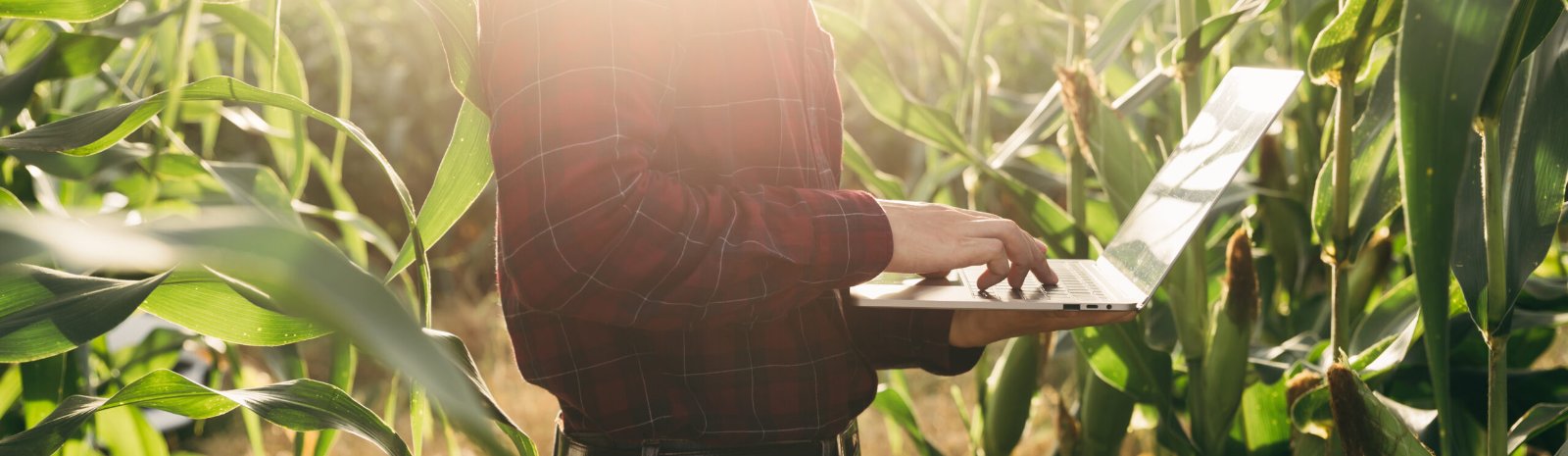 a farmer in a corn field holding a laptop computer
