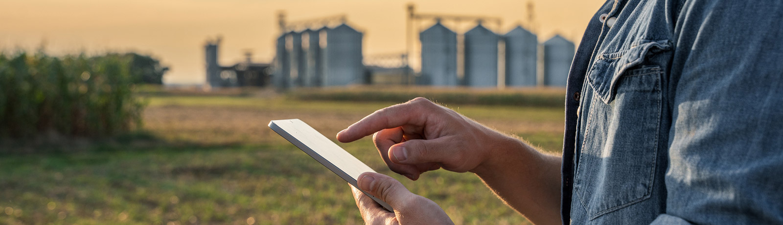 Farmer using tablet to look at crop information